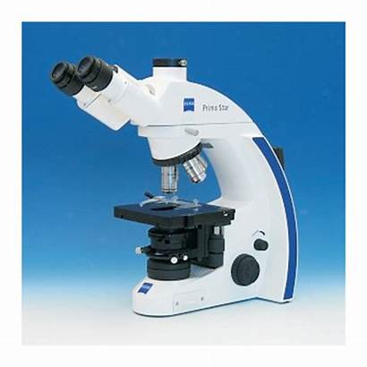 Zeiss Primo Star Carl Microscopes Hal Led