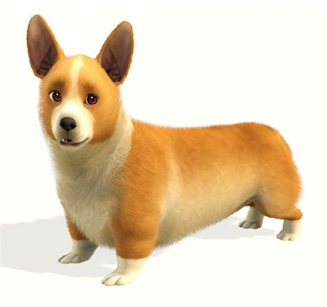 Requires the sims 4 base game and cats & dogs expansion pack! My Sims 3 Blog: Corgis & Doxies by Faellu