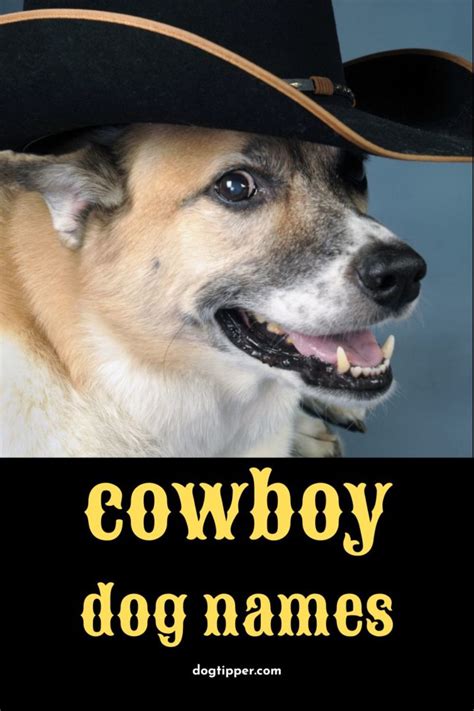 250 Cowboy Dog Names For Your Buckaroo