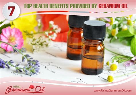 Using Geranium Oil Top Health Benefits Provided By Geranium Oil