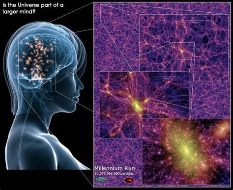 Living Universe Plasma Fractal Ecosystems Holographic Galaxy