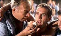 Nick Mano Fredda, Paul Newman e la scena delle uova: ecco quante ne mangiò