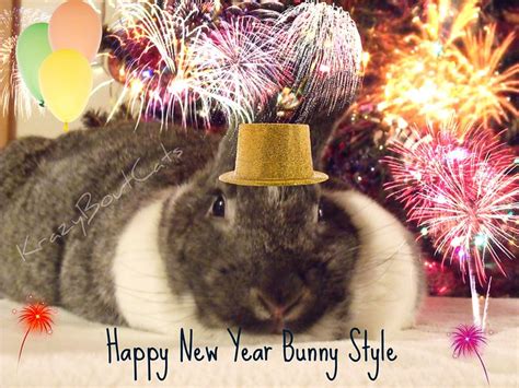 Happy New Year Bunny Style Flickr Photo Sharing