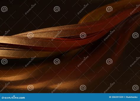 Abstract Backgound Gold Bronze Wave On Black Stock Illustration