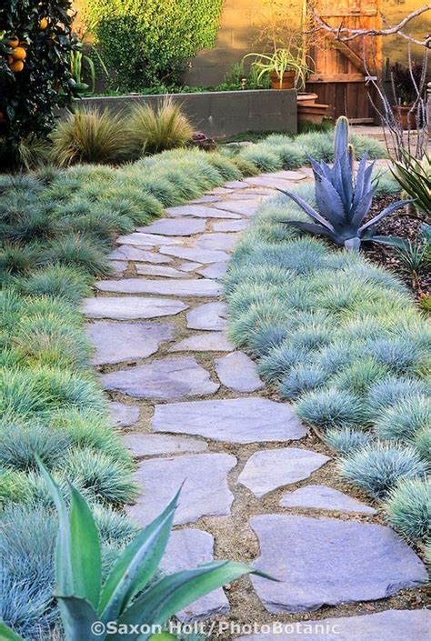 Flagstone Path In Small Backyard Garden With Orange Tree Cactus And