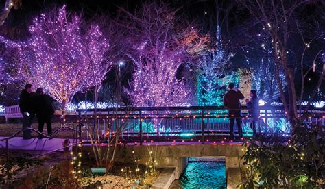 Nc Arboretum Shines With Winter Lights The Laurel Of Asheville