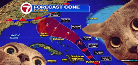 National Hurricane Center Now Saying That Tropical Storm Dorian Could