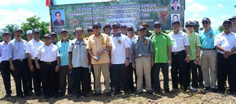 Kadazan, dusun, muruts, bajau, lundayeh, orang sungai, rungus interior areas: Saddi Abdul Rahman: Contohilah Sawit Kinabalu dalam ...