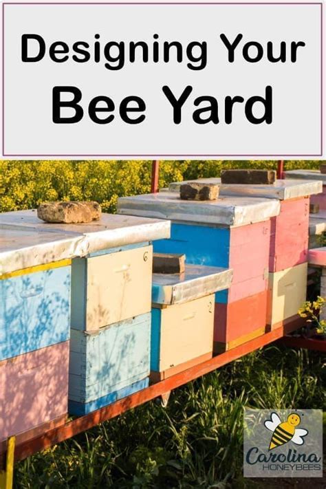 How To Set Up A Bee Yard Or Apiary That Is Easy To Use Hive Placement And Bee Yard
