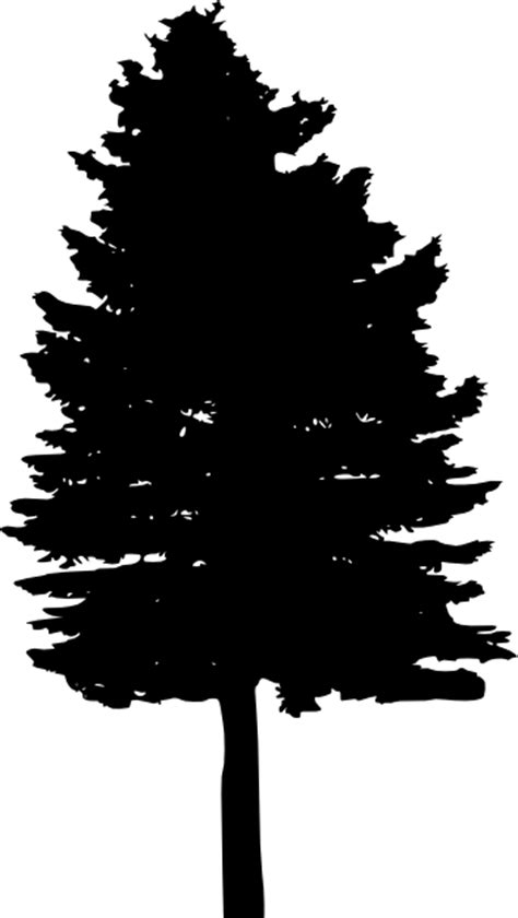 Find & download free graphic resources for christmas tree silhouette. 30 Pine Tree Silhouette (PNG Transparent) Vol. 2 | OnlyGFX.com