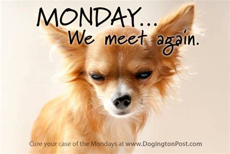 Pin By Lisa Emerson On I Dont Do Mondays Funny Weekend Quotes
