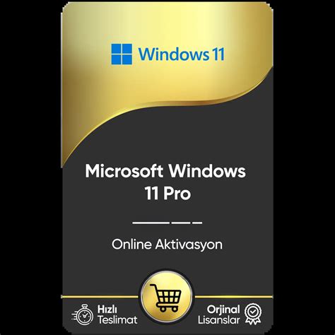 Microsoft Windows 11 Pro Online Aktivasyon Gold Lisans