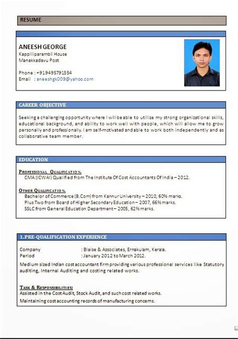 Are you looking for a new job curriculum vitae. biodata resume