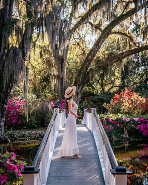 The Best Plantations In Charleston Sc To Visit In 2024