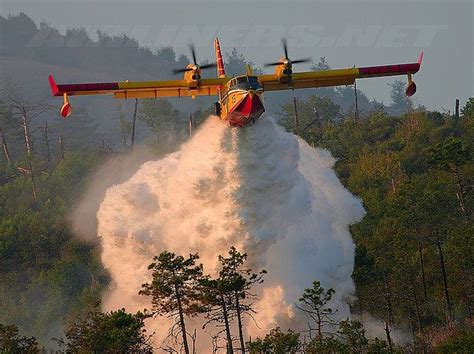 Wildfire Water Drop From Amphibious Plane Aircraft Bomber Plane