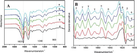 Ftir Original Spectra A And Second Derivative Spectra B Of Bsftsf