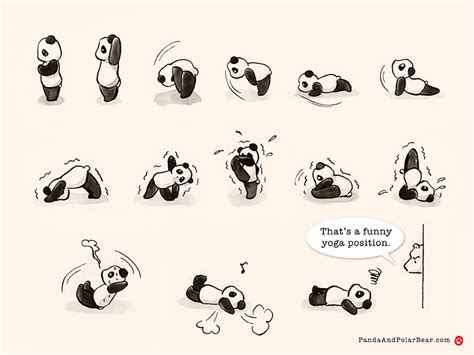 Thats A Funny Yoga Position Panda And Polar Bear