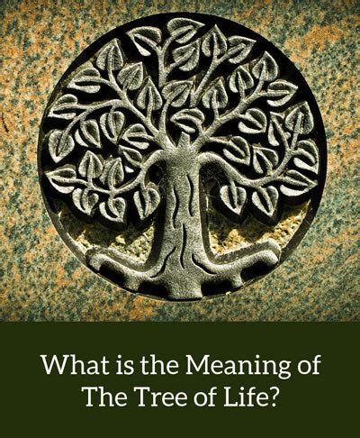 Tree of Life Symbolism & Meaning in Jewelry - woot & hammy