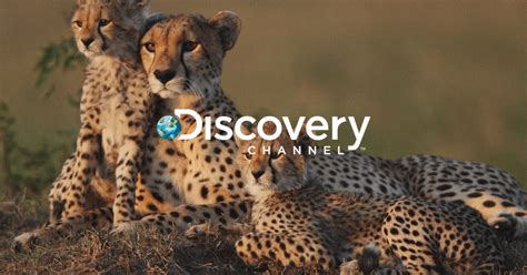 Discovery, india, nature, science, adventure, shows, bear grylls, man vs wild, discover, new shows, expedition unknown, josh gates, into the wild, survival school, explore, learn more, people stories. Brand history: Discovery Channel. | OUTLOOK