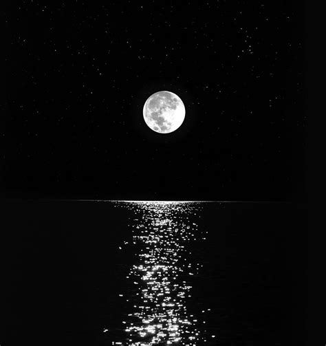 ونشر قمر صورًا تجمعهما، عبر حسابه الرسمي بموقع إنستجرام، وعلق: صور قمر في الليل , احلى صور للقمر في المساء - عزه و ثقه