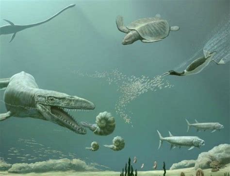 Finned Animals Return To Land And Sea Permiantriassic Mass Extinction