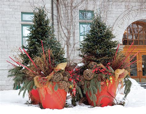 10 Stunning Winter Container Garden Ideas Home Decor Ideas