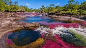 Caño Cristales, el río del arcoíris en Colombia - Planeta Fascinante