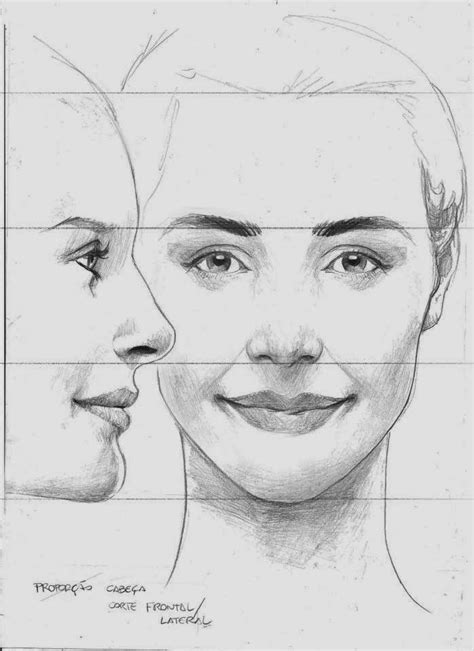 Female Face Drawing Human Anatomy Drawing Anatomy Art Portraiture