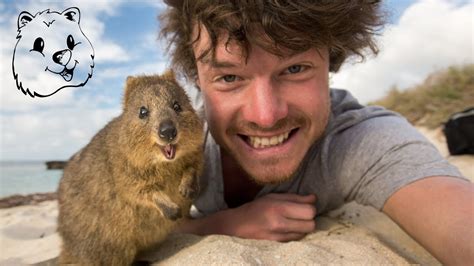 Quokka Selfie Tutorial How To Take Animal Selfies Ultimate Guide