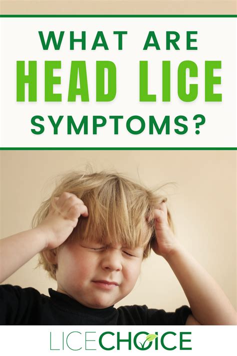 How To Know If You Have Lice Louse What Is Lice Lice Spray