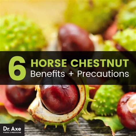 Horse Chestnut Supplement Uses And Health Benefits Dr Axe