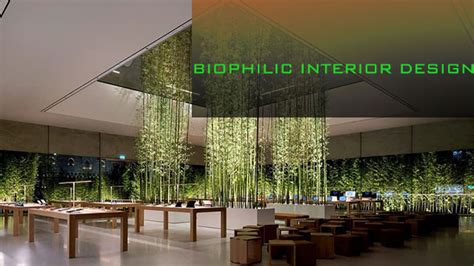 Biophilic Interior Design Ergonomics