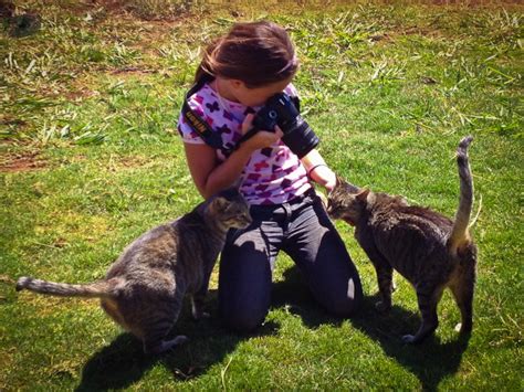 Do you see yourself looking over the vast serengeti plains, searching the horizon for a glimpse of a pride of lions, or a leopard lounging in the trees? Lanai Cat Sanctuary - Animal Heaven in Hawaii | The Planet D
