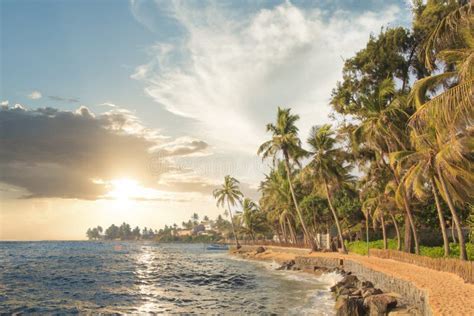 Beautiful View Of The Tropical Beach Of Sri Lanka Stock Photo Image