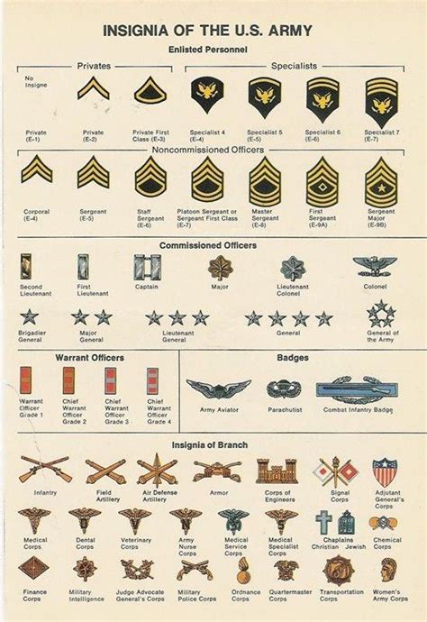 Insignia Of The Us Army Guide Coolguides
