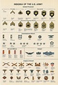 Insignia of the US Army guide : coolguides