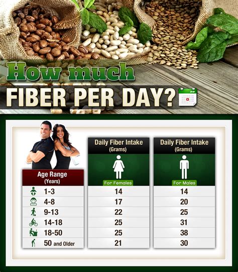 Saddlebags, muffin tops, tummy tires, and arm jiggle — if you're not a fan of yours, then fiber is a must. How Much Fiber Per Day; for Children, Adults, and Beyond ...