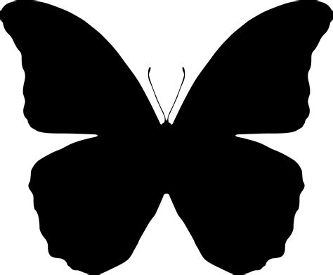 Index Of Downloadsimagesvectoranimals Butterfly Art Drawing