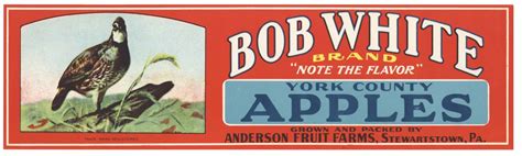 Bob White Brand Vintage Pennsylvania Apple Crate Label Thelabelman