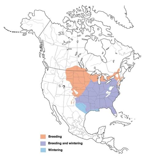 Red Headed Woodpecker Range Map All About Birds Cornell Lab Of Ornithology Woodpecker