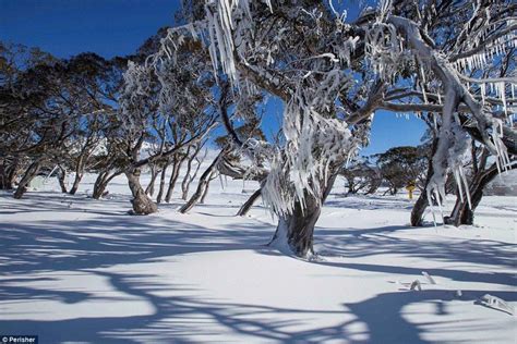 Australias First Day Of Winter Brings Lowest Temperatures In Forty