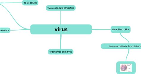 Cienciasut Mapas Conceptual De Los Virus
