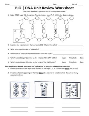 Dna structure and replication worksheet quizlet. Dna Replication Review Worksheet