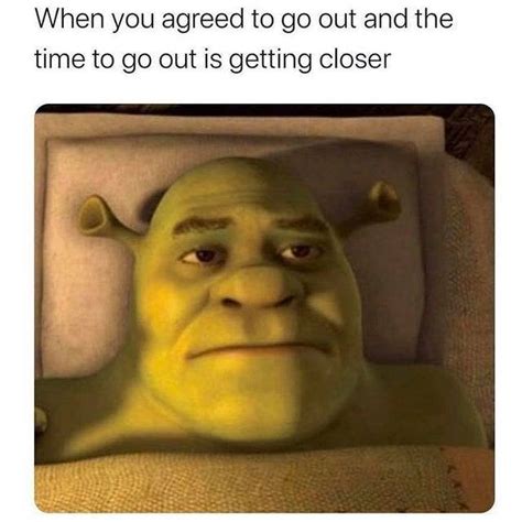 Going Out Shrek Know Your Meme