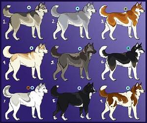Siberian Husky Imports 01 Closed Dog Breed Art Wolf Spirit Animal
