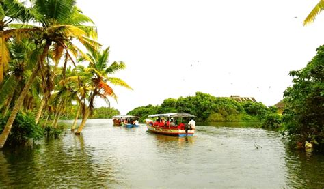 top 10 best backwaters of kerala that offer much more than beauty and tranquillity iris holidays