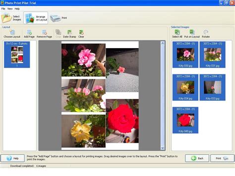 Photo Print Pilot Latest Version Get Best Windows Software