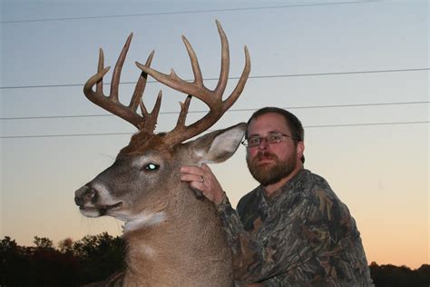 14 Point Whitetail Buck 150 Inches 232 Pounds Dressed Jus