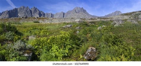 44469 Ural Mountains Images Stock Photos And Vectors Shutterstock