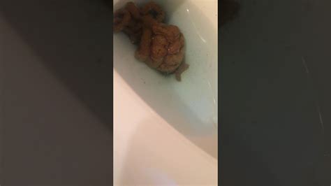 Poo In The Toilet Youtube